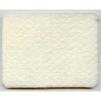 Eureka Filter Victory 38755